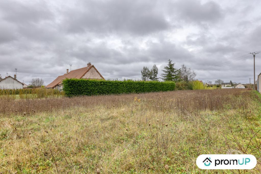 Terrain à vendre Loir-et-Cher Cheverny - 41700 - Photos Vivastreet (VT1165) Terrain à vendre à Cheverny