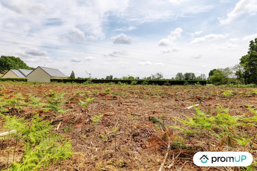 Terrain à vendre Maine-et-Loire St Philbert du Peuple - 49160 - Photos Vivastreet (V5888) Terrain non constructible de 4 000m2 à...