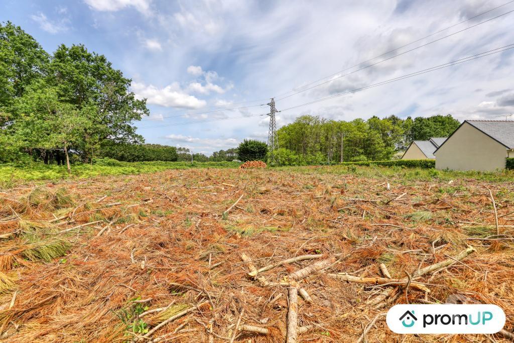 Terrain à vendre Maine-et-Loire St Philbert du Peuple - 49160 - Photos Vivastreet (V5888) Terrain non constructible de 4 000m2 à...