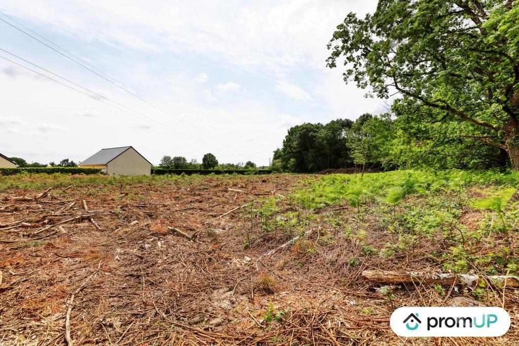 Terrain à vendre Maine-et-Loire St Philbert du Peuple - 49160 - Photos Vivastreet (V5888) Terrain non constructible de 4 000m2 à...