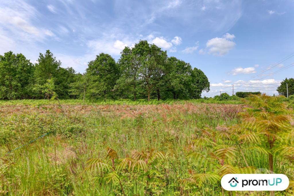 Terrain à vendre Maine-et-Loire St Philbert du Peuple - 49160 - Photos Vivastreet (V5888) Terrain non constructible de 4 000m2 à...