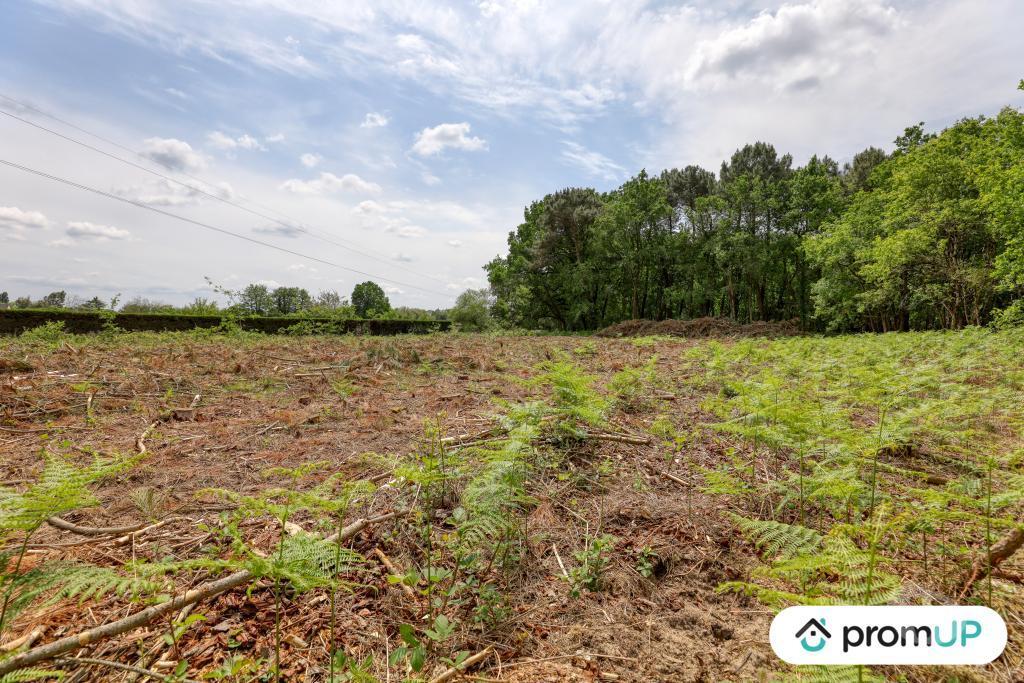 Terrain à vendre Maine-et-Loire St Philbert du Peuple - 49160 - Photos Vivastreet (V5888) Terrain non constructible de 4 000m2 à...
