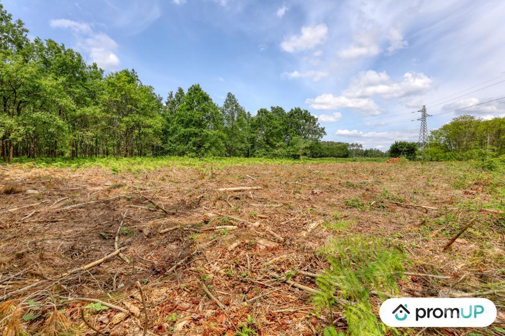 Terrain à vendre Maine-et-Loire St Philbert du Peuple - 49160 - Photos Vivastreet (V5888) Terrain non constructible de 4 000m2 à...