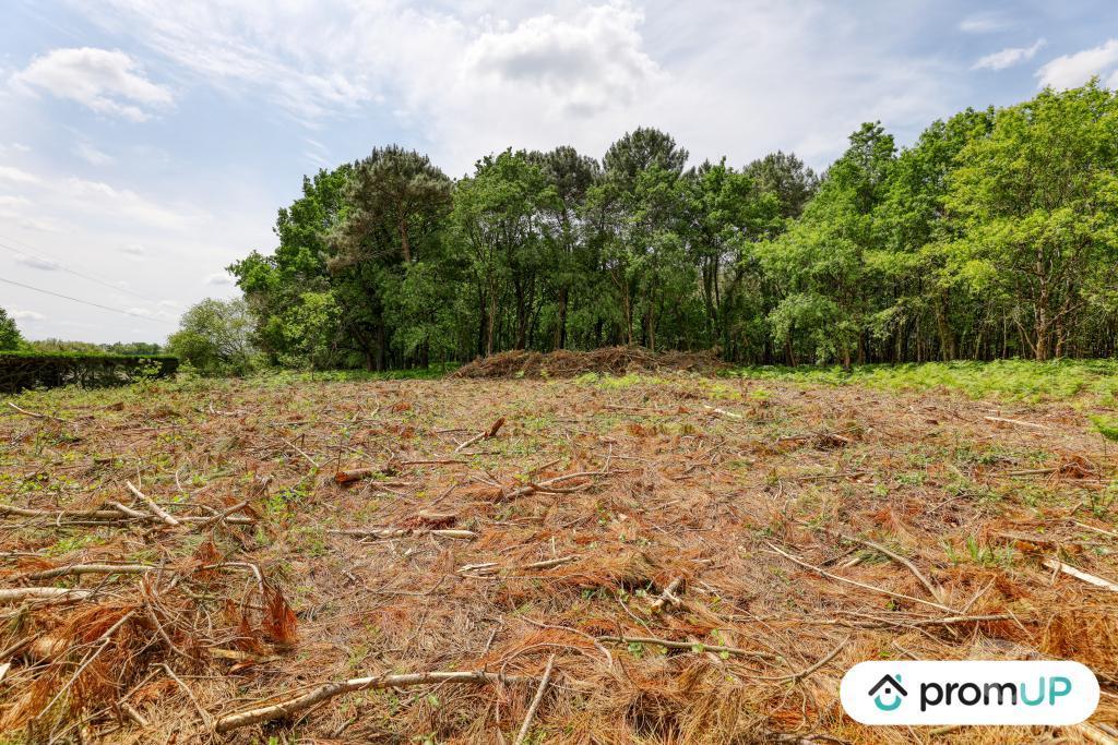 Terrain à vendre Maine-et-Loire St Philbert du Peuple - 49160 - Photos Vivastreet (V5888) Terrain non constructible de 4 000m2 à...