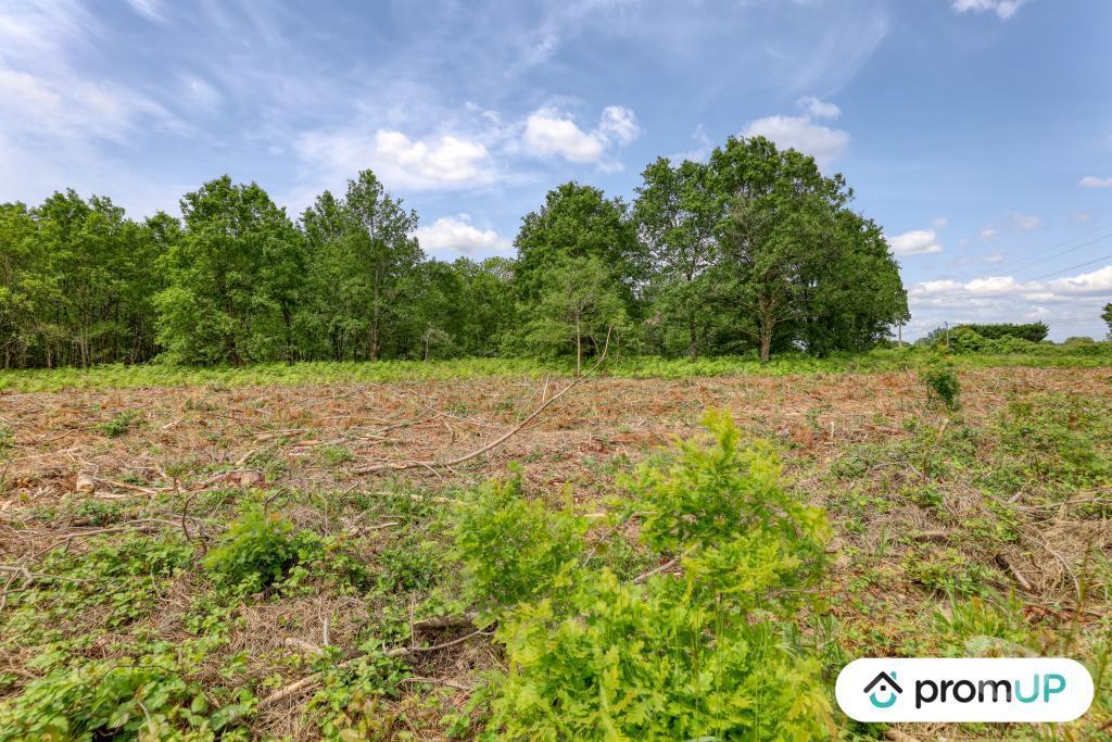 Terrain à vendre Maine-et-Loire St Philbert du Peuple - 49160 - Photos Vivastreet (V5888) Terrain non constructible de 4 000m2 à...