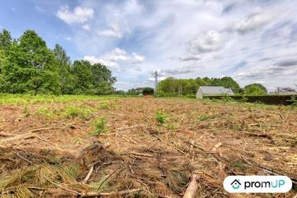 Vente Terrain St Philbert du Peuple Maine-et-Loire - Photos Vivastreet (V5888) Terrain non constructible de 4 000m2 à...