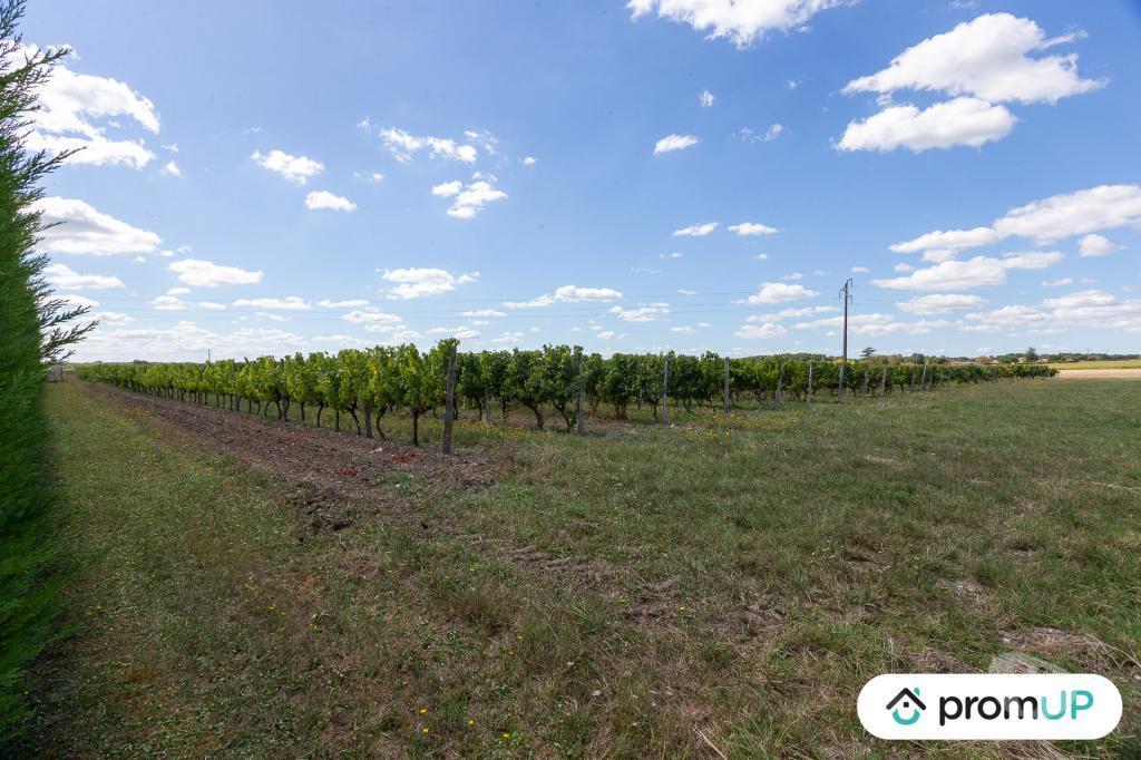 Terrain à vendre Charente-Maritime Fontaines d'Ozillac - 17500 - Photos Vivastreet (VT572) Terrain constructible 3000m2