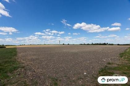 Vente Terrain Fontaines d'Ozillac Charente-Maritime - Photos Vivastreet (VT572) Terrain constructible 3000m2