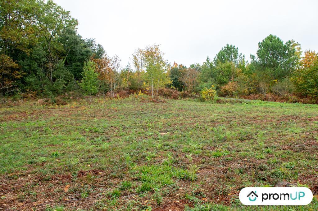 Terrain à vendre Dordogne Sarlat la Caneda - 24200 - Photos Vivastreet (VT648) Terrain constructible de 3310m²