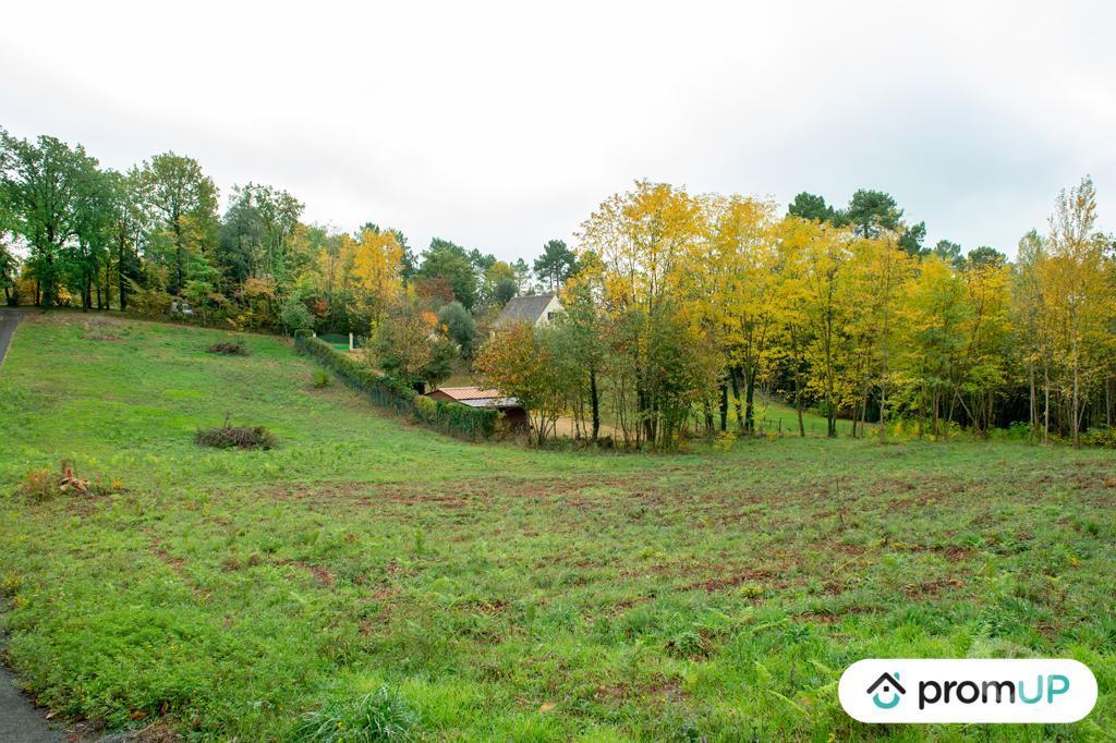 Terrain à vendre Dordogne Sarlat la Caneda - 24200 - Photos Vivastreet (VT648) Terrain constructible de 3310m²