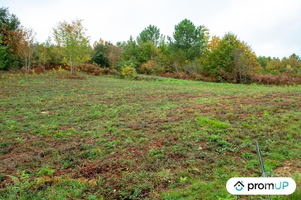Terrain à vendre Dordogne Sarlat la Caneda - 24200 - Photos Vivastreet (VT648) Terrain constructible de 3310m²