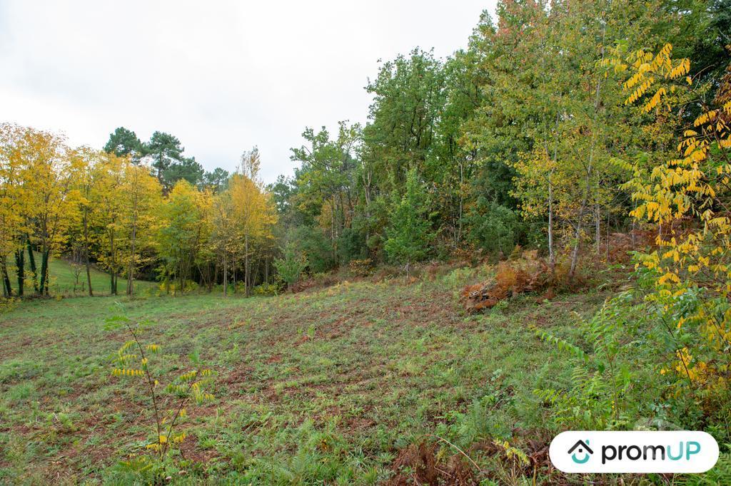 Terrain à vendre Dordogne Sarlat la Caneda - 24200 - Photos Vivastreet (VT648) Terrain constructible de 3310m²