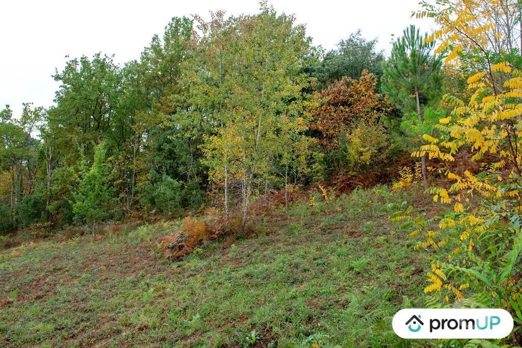 Terrain à vendre Dordogne Sarlat la Caneda - 24200 - Photos Vivastreet (VT648) Terrain constructible de 3310m²