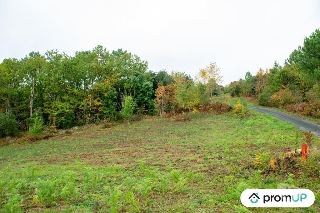 Terrain à vendre Dordogne Sarlat la Caneda - 24200 - Photos Vivastreet (VT648) Terrain constructible de 3310m²