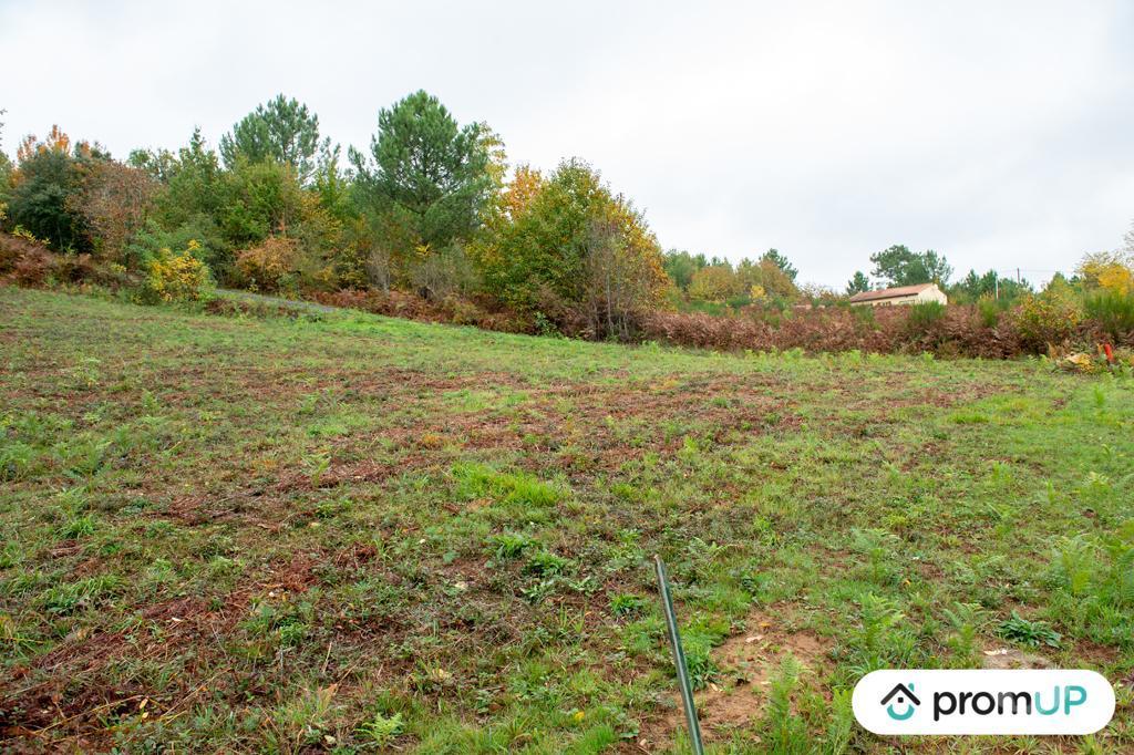 Terrain à vendre Dordogne Sarlat la Caneda - 24200 - Photos Vivastreet (VT648) Terrain constructible de 3310m²