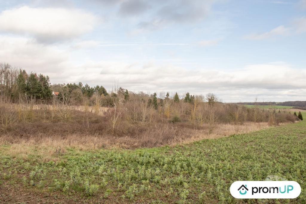 Terrain à vendre Somme Sorel en Vimeu - 80490 - Photos Vivastreet (VT262) Grand terrain à Sorel-en-Vimeu