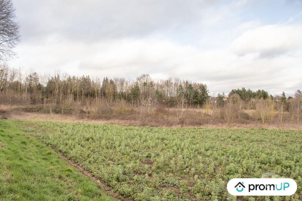 Terrain à vendre Somme Sorel en Vimeu - 80490 - Photos Vivastreet (VT262) Grand terrain à Sorel-en-Vimeu