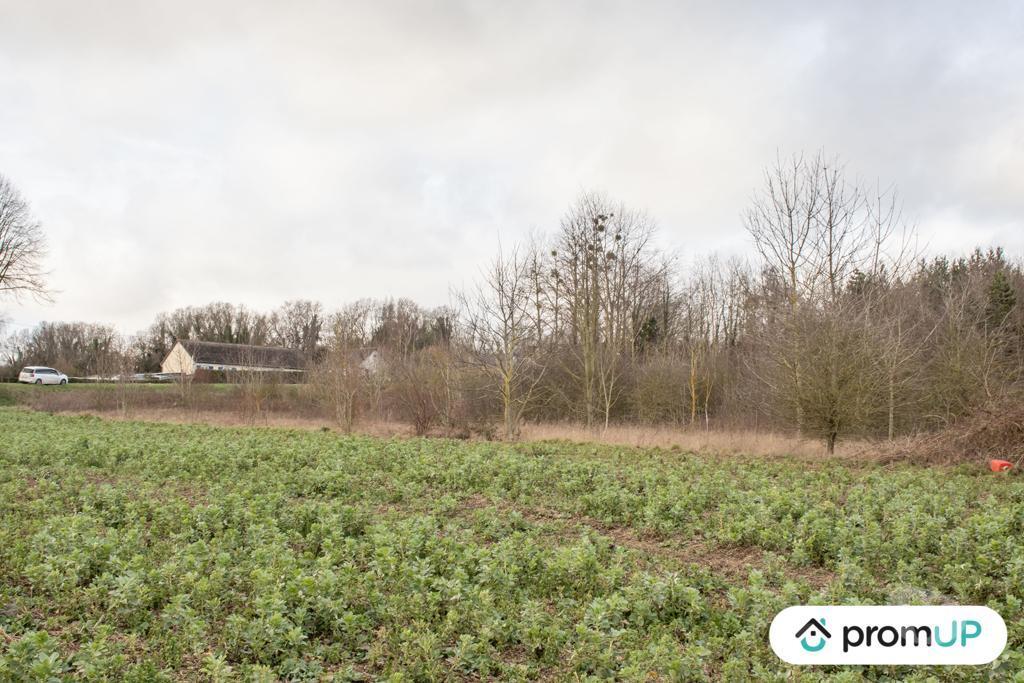Terrain à vendre Somme Sorel en Vimeu - 80490 - Photos Vivastreet (VT262) Grand terrain à Sorel-en-Vimeu