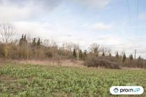 (VT262) Grand terrain à Sorel-en-Vimeu