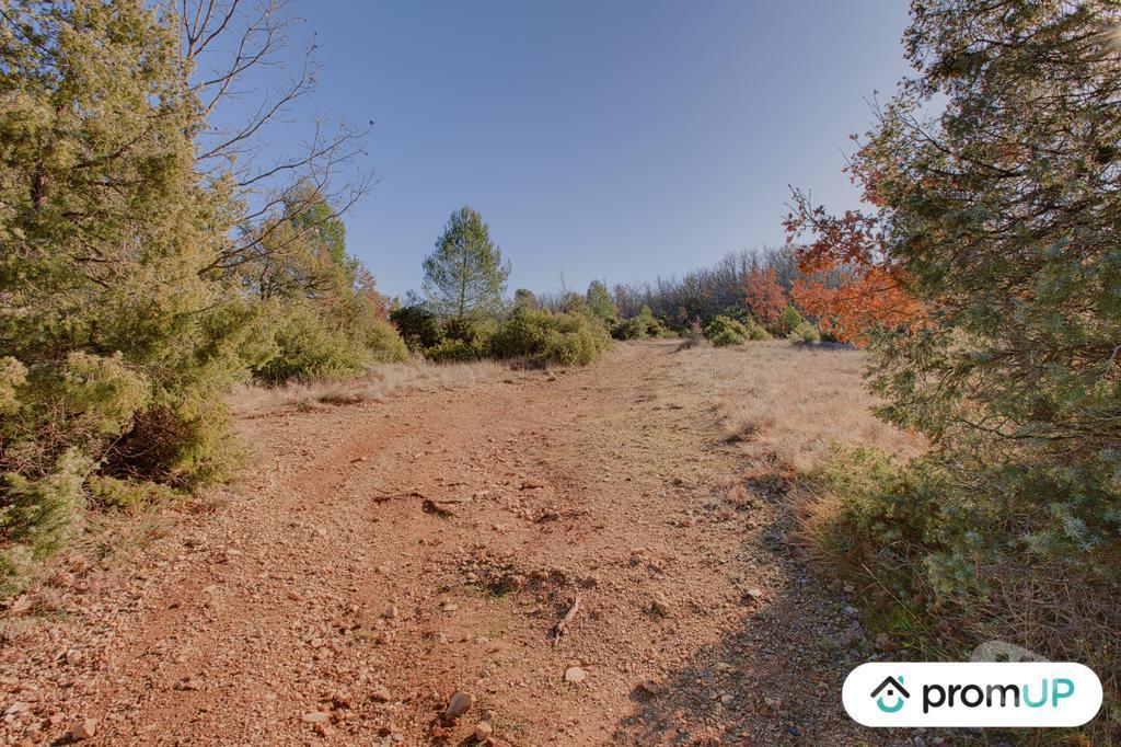 Terrain à vendre Var Rians - 83560 - Photos Vivastreet (VT184) Terrain de 44605m2 en zone naturelle