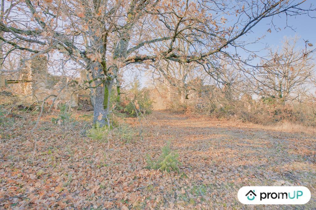 Terrain à vendre Var Rians - 83560 - Photos Vivastreet (VT184) Terrain de 44605m2 en zone naturelle