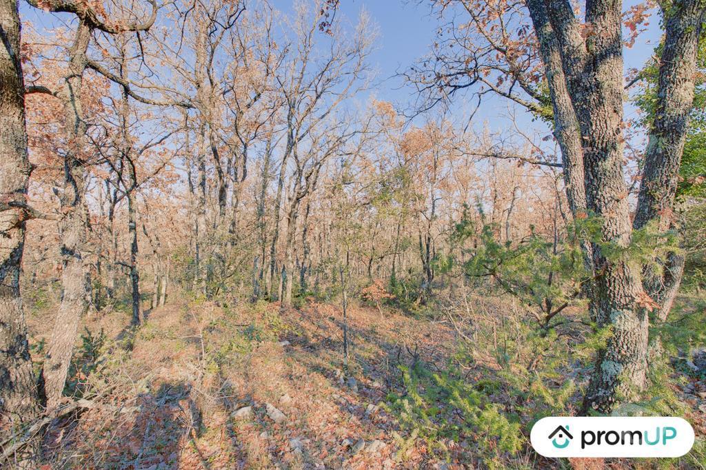 Terrain à vendre Var Rians - 83560 - Photos Vivastreet (VT184) Terrain de 44605m2 en zone naturelle