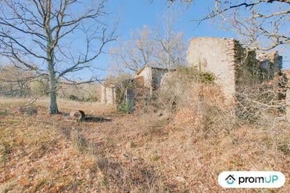 Vente Terrain Rians Var - Photos Vivastreet (VT184) Terrain de 44605m2 en zone naturelle