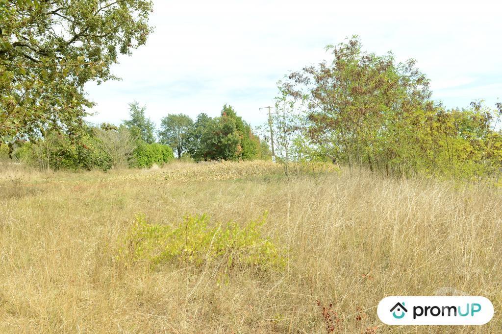 Terrain à vendre Lot Floressas - 46700 - Photos Vivastreet (V6245) Terrain de 2000 m2 à FLORESSAS