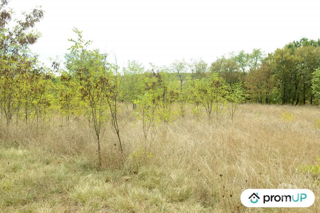 Terrain à vendre Lot Floressas - 46700 - Photos Vivastreet (V6245) Terrain de 2000 m2 à FLORESSAS