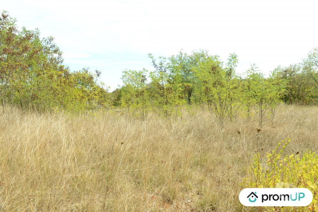 Terrain à vendre Lot Floressas - 46700 - Photos Vivastreet (V6245) Terrain de 2000 m2 à FLORESSAS