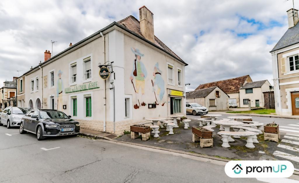 Vente Maison Cher Lignieres - 18160 - Photos Vivastreet (V5577) Maison de 295 m2 à Lignières