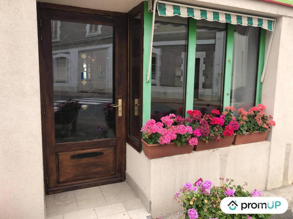Vente Maison Cher Lignieres - 18160 - Photos Vivastreet (V5577) Maison de 295 m2 à Lignières