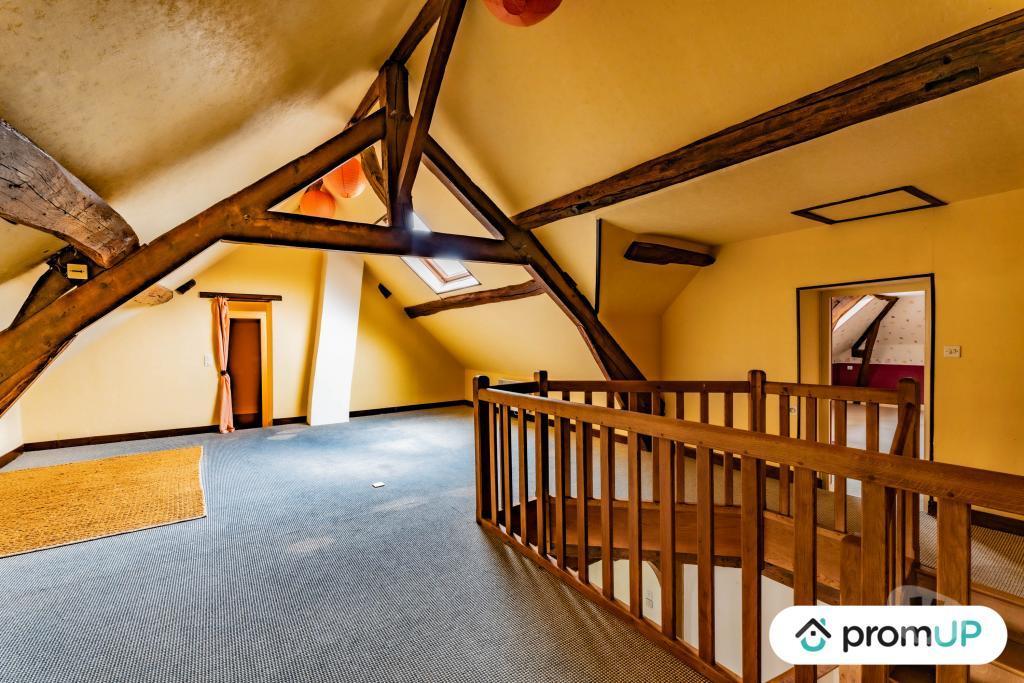 Vente Maison Loiret Nevoy - 45500 - Photos Vivastreet (V5717) Maison de 270 m2 à Nevoy
