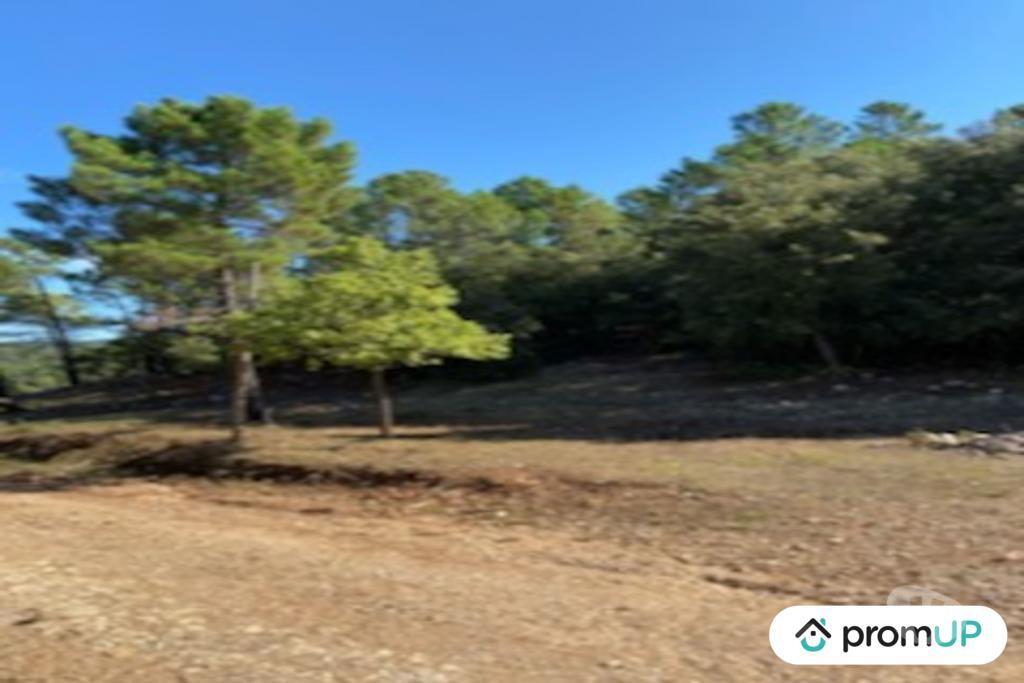 Terrain à vendre Var Draguignan - Photos Vivastreet (VT890) Terrain de forêt de plus de 5 hectares