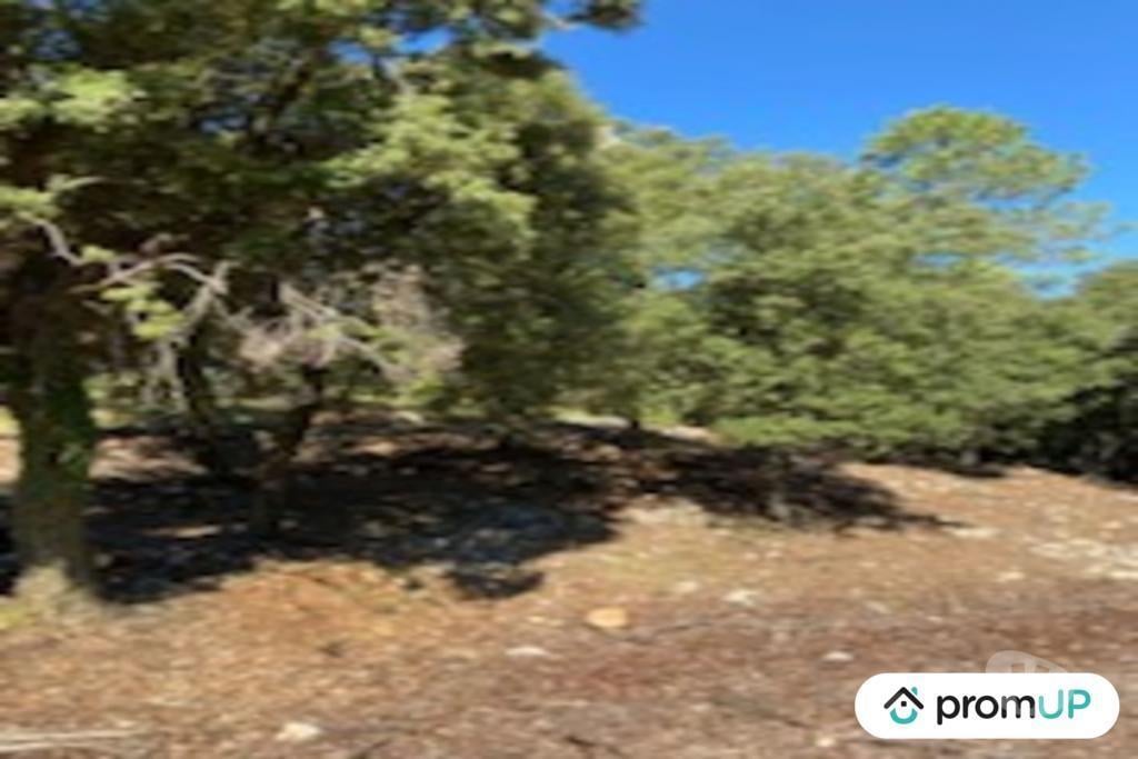Terrain à vendre Var Draguignan - Photos Vivastreet (VT890) Terrain de forêt de plus de 5 hectares