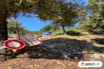(VT890) Terrain de forêt de plus de 5 hectares
