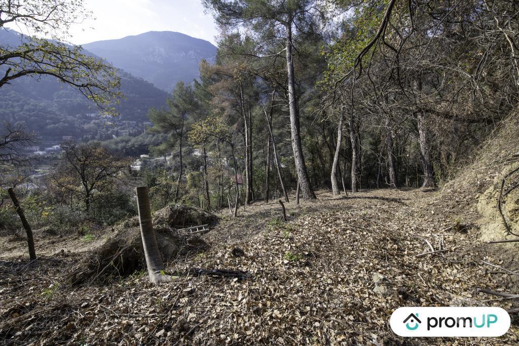 Terrain à vendre Alpes-Maritimes Gorbio - 06500 - Photos Vivastreet (V5315) Terrain de loisir de 2048m2