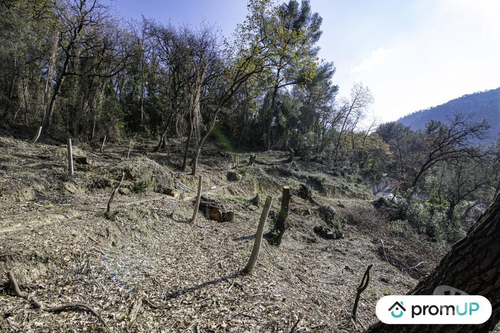 Terrain à vendre Alpes-Maritimes Gorbio - 06500 - Photos Vivastreet (V5315) Terrain de loisir de 2048m2