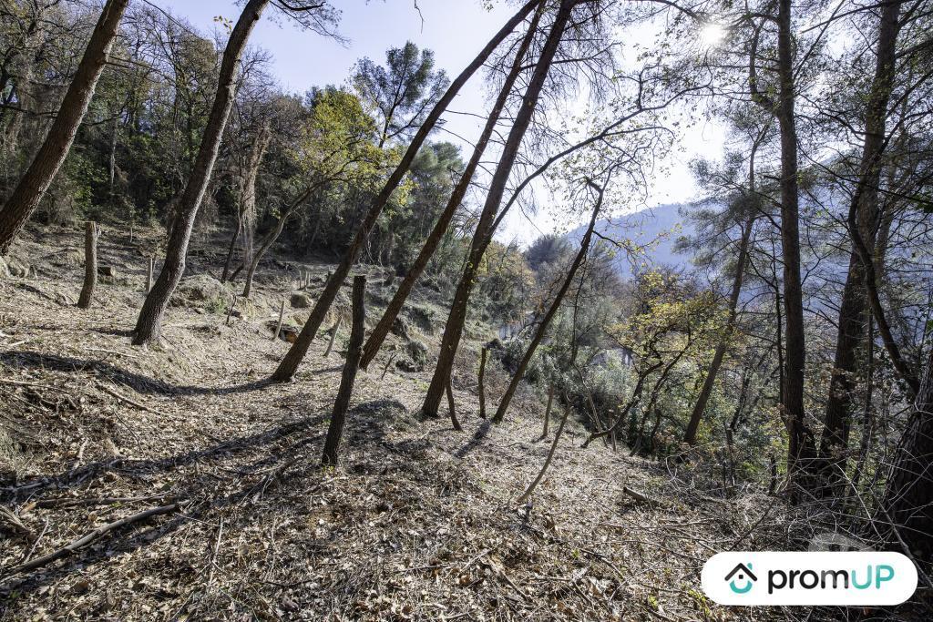 Terrain à vendre Alpes-Maritimes Gorbio - 06500 - Photos Vivastreet (V5315) Terrain de loisir de 2048m2