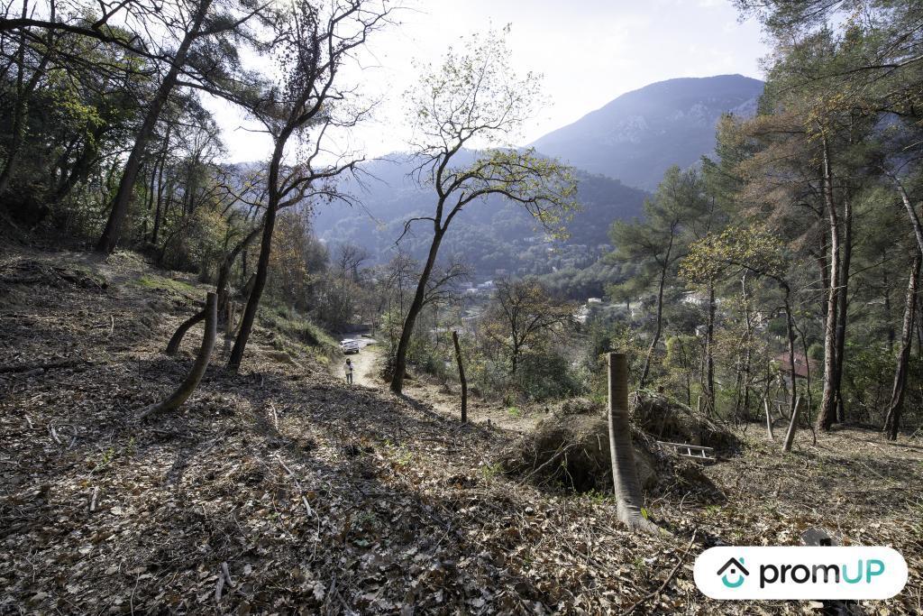 Terrain à vendre Alpes-Maritimes Gorbio - 06500 - Photos Vivastreet (V5315) Terrain de loisir de 2048m2