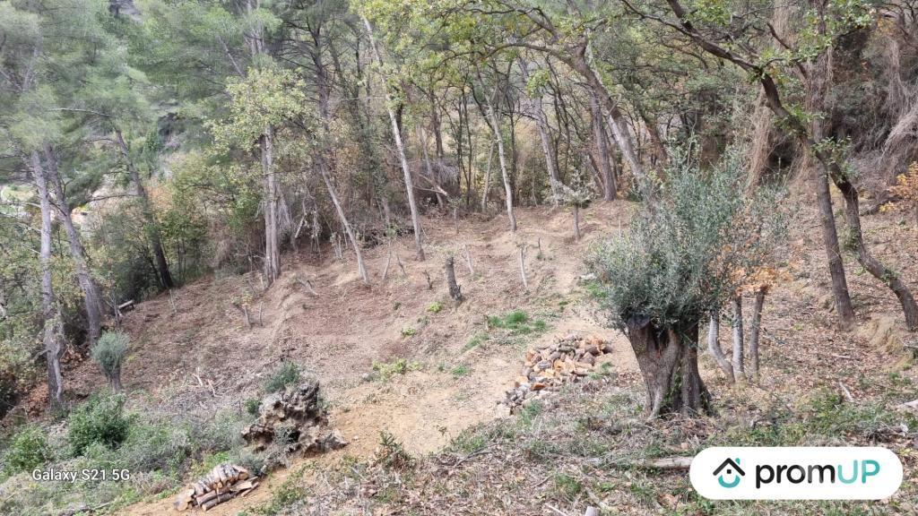 Terrain à vendre Alpes-Maritimes Gorbio - 06500 - Photos Vivastreet (V5315) Terrain de loisir de 2048m2