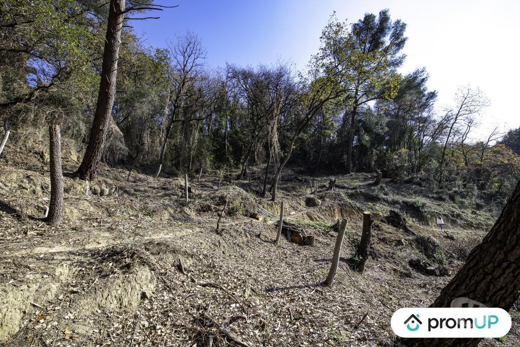 Terrain à vendre Alpes-Maritimes Gorbio - 06500 - Photos Vivastreet (V5315) Terrain de loisir de 2048m2