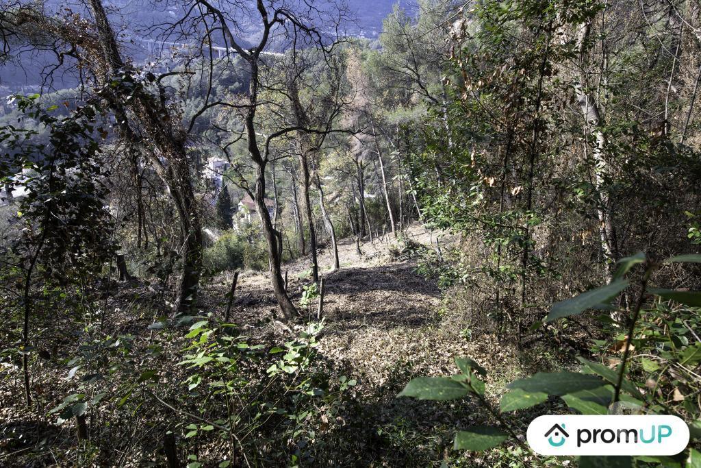 Terrain à vendre Alpes-Maritimes Gorbio - 06500 - Photos Vivastreet (V5315) Terrain de loisir de 2048m2