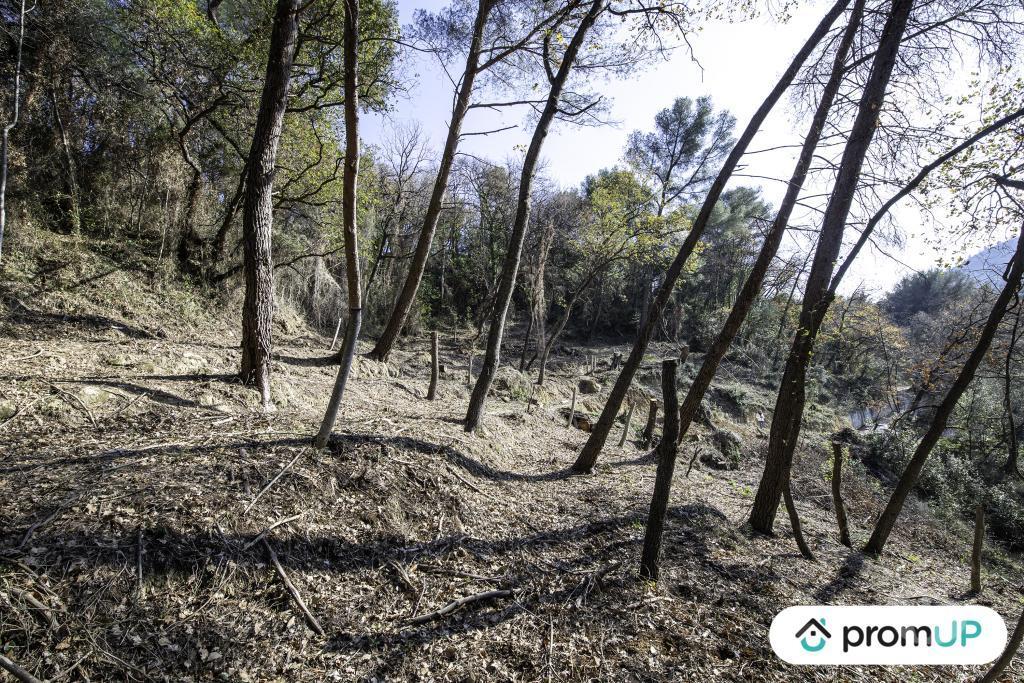 Terrain à vendre Alpes-Maritimes Gorbio - 06500 - Photos Vivastreet (V5315) Terrain de loisir de 2048m2