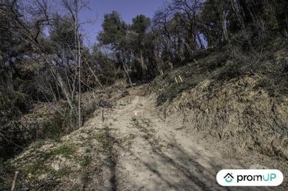 Vente Terrain Gorbio Alpes-Maritimes - Photos Vivastreet (V5315) Terrain de loisir de 2048m2