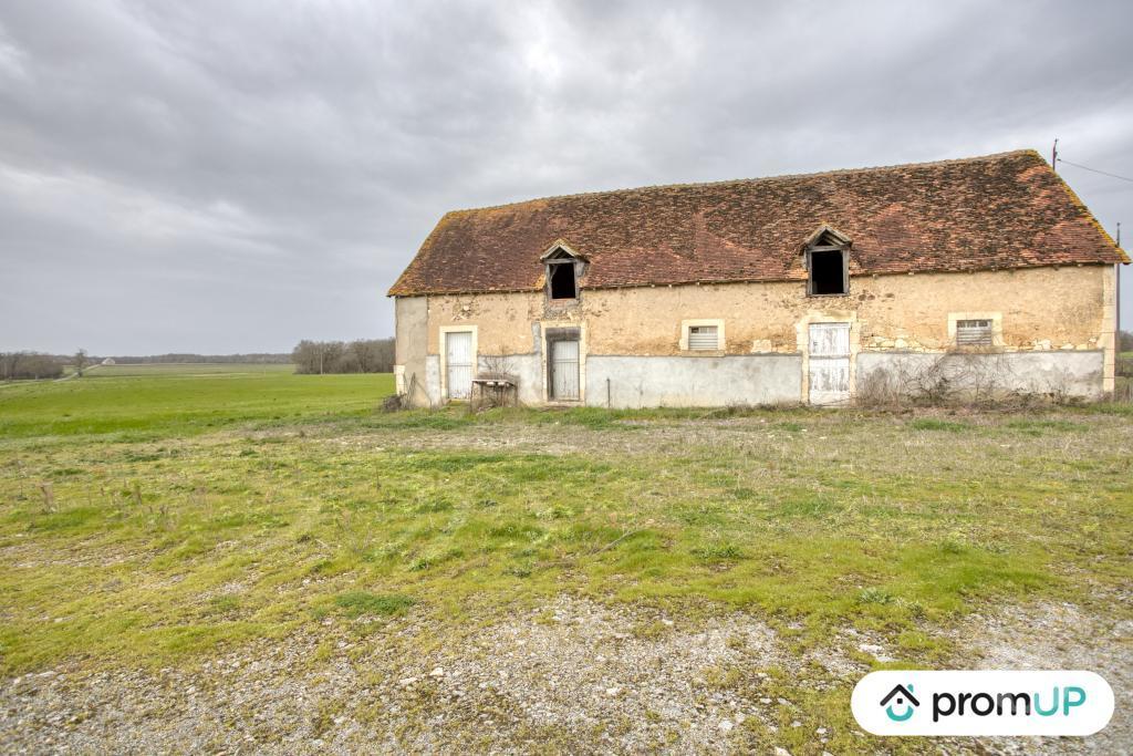 Terrain à vendre Indre Velles - 36330 - Photos Vivastreet (VT352) Terrain de 65Hectares à VELLES