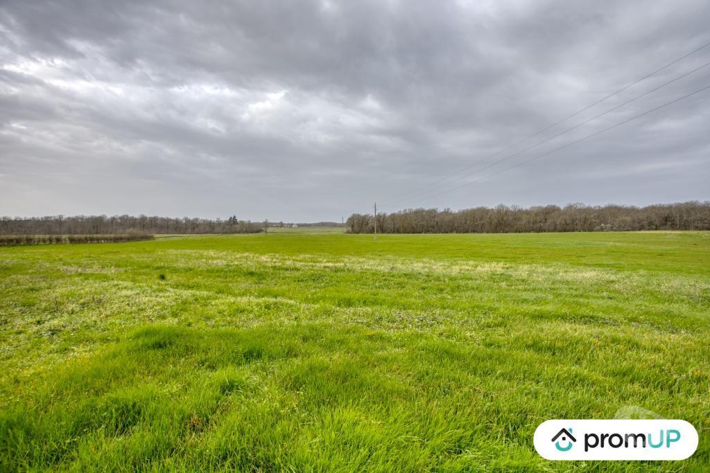 Terrain à vendre Indre Velles - 36330 - Photos Vivastreet (VT352) Terrain de 65Hectares à VELLES
