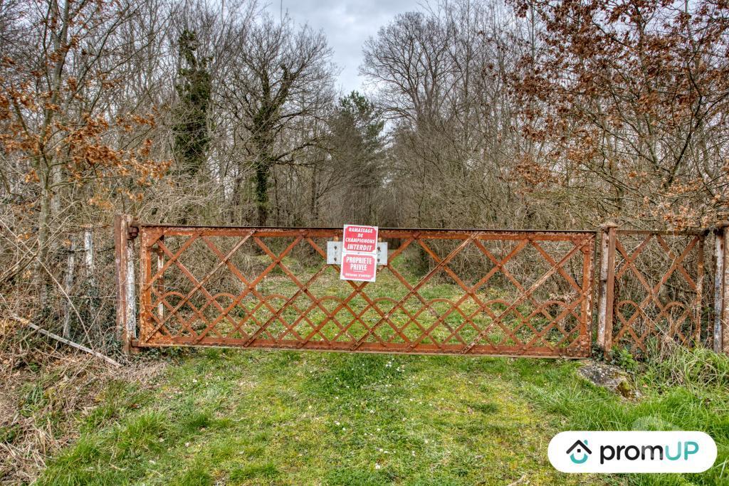 Terrain à vendre Indre Velles - 36330 - Photos Vivastreet (VT352) Terrain de 65Hectares à VELLES