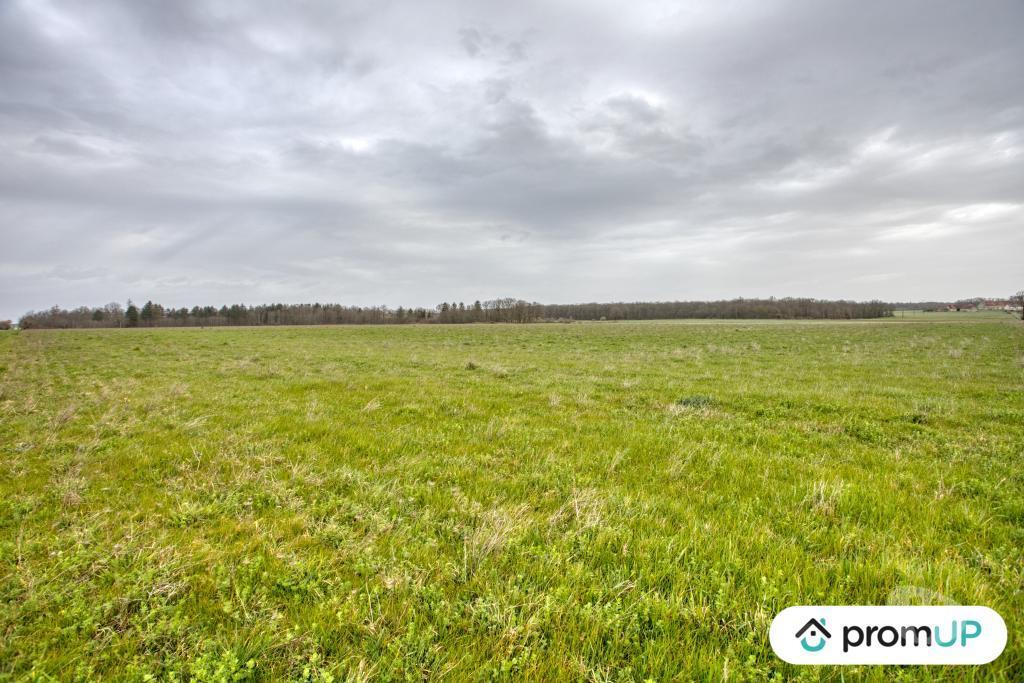 Terrain à vendre Indre Velles - 36330 - Photos Vivastreet (VT352) Terrain de 65Hectares à VELLES
