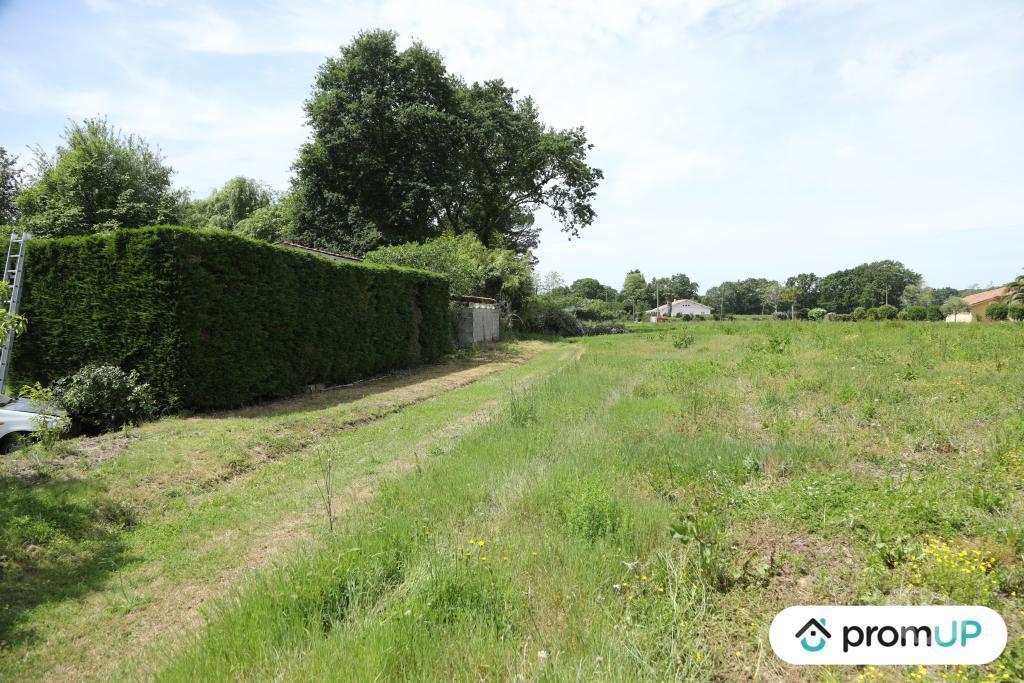 Terrain à vendre Landes Arsague - 40330 - Photos Vivastreet (V5755) Terrain constructible de 3 445 m2 à Arsague